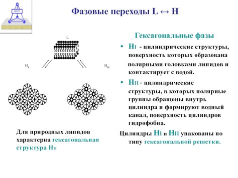 Фазовые переходы и изменение структуры оксидов