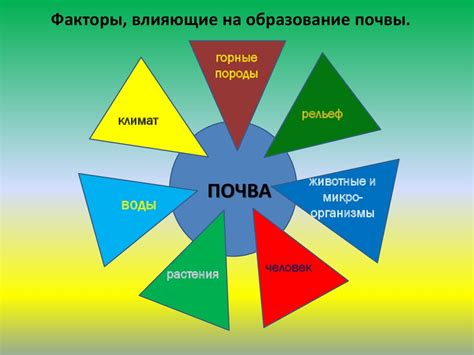 Факторы, влияющие на образование тонкого ободка