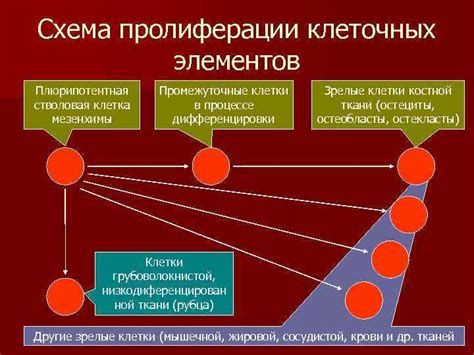 Факторы, влияющие на процесс гниения