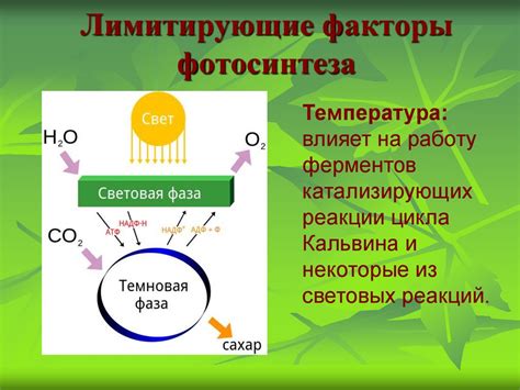 Факторы, влияющие на фотоэффект: интенсивность и длина волны света, состав металла