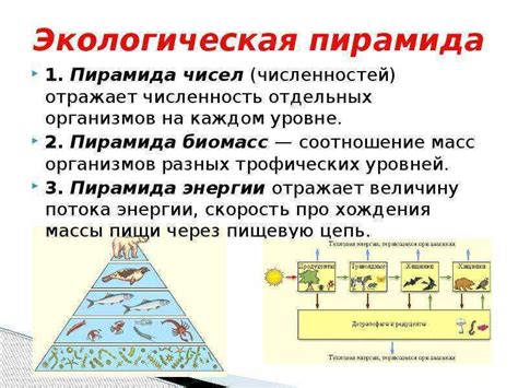 Факторы влияющие на струйный перенос