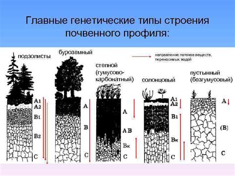 Факторы образования пластичной решетки