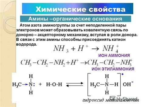 Факты об ионе аммония, которые стоит знать