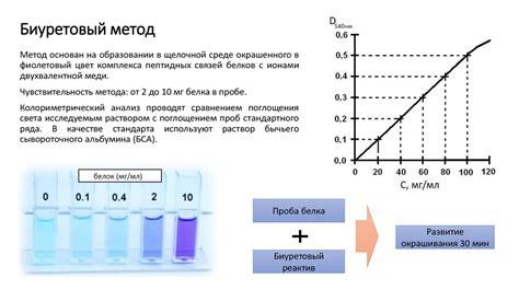 Физико-химические свойства активной концентрации