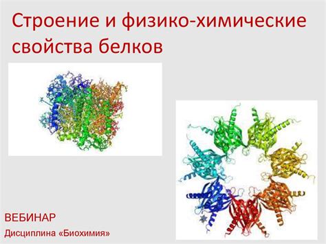 Физико-химические свойства и особенности