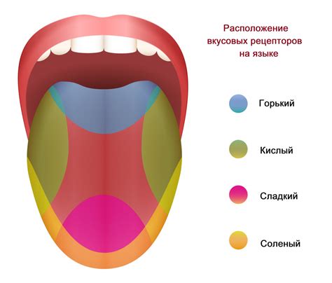 Физиологические причины искусственного вкуса