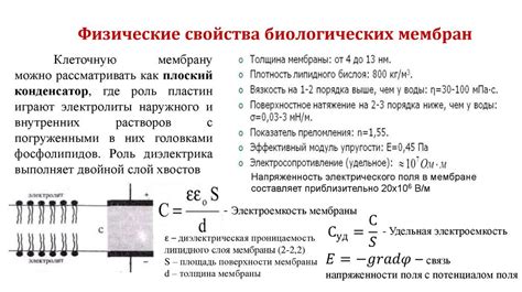 Физические свойства и параметры