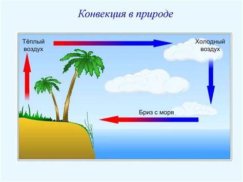 Физический процесс