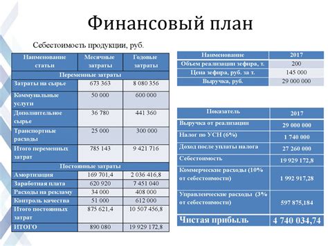 Финансовый план и оценка рисков