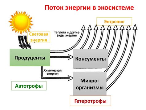 Форма металла и поток энергии