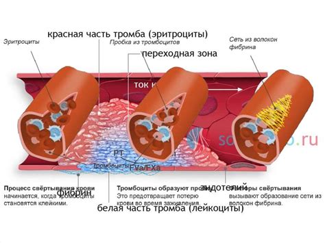 Формирование красного ржавого оттенка