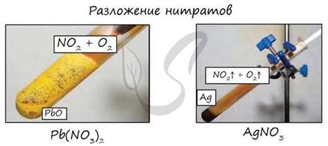 Формирование нитратов металлов в результате реакции