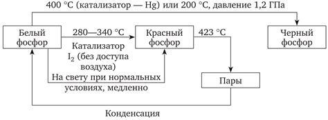 Фосфор: общая информация