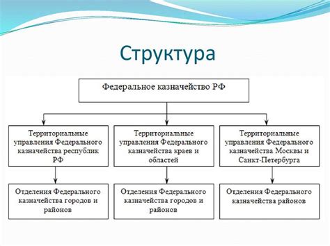 Функции казначейства