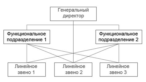 Функциональная организационная структура металл профиль