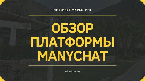 Функционал и возможности бота: