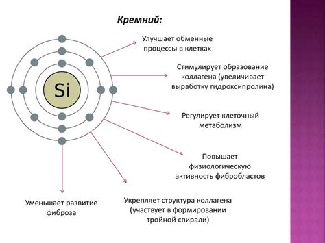 Хелатные комплексы с металлами: основные понятия