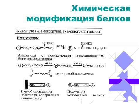 Химическая модификация