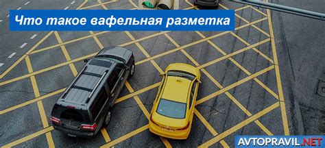 Химическая разметка: особенности и достоинства