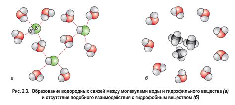 Химические соединения