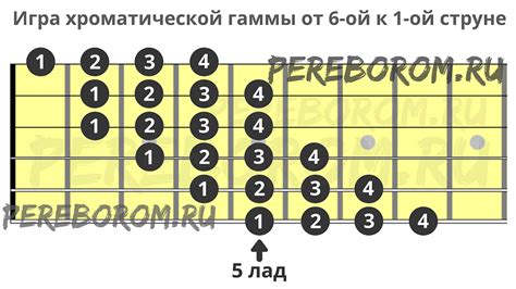 Хроматическая гамма: современные техники игры