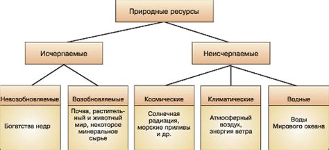 Ценные предметы и ресурсы в мейзе