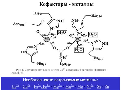 Часто встречаемые металлы, обнаруживаемые металлоискателем