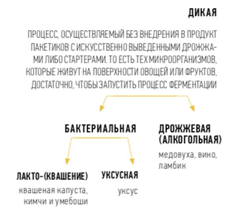 Чем полезна ферментация в строительстве?