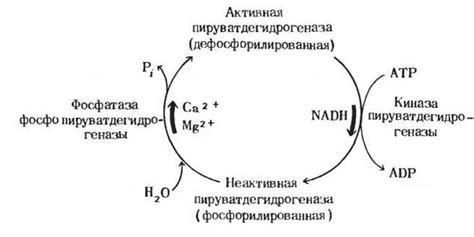 Четвертый шаг: смывка остатков лимонной кислоты