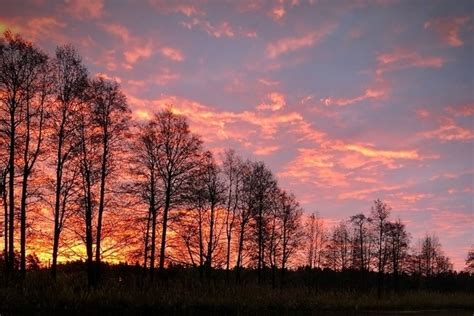 Что можно делать с чародейским столом