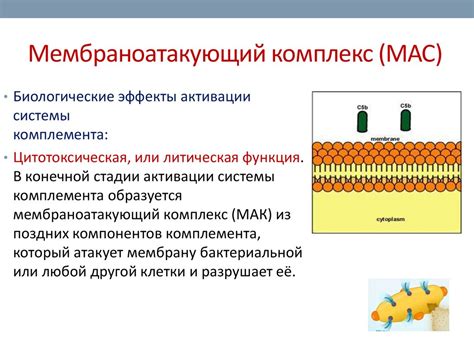 Что представляет собой Вместимость 3?