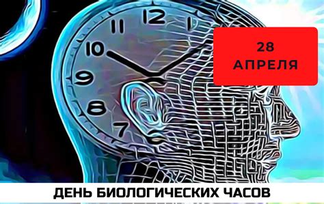 Что такое День биологических часов 28 апреля?