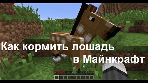 Что такое лошадь в Майнкрафте?