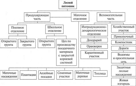 Что такое питомник и зачем он нужен?