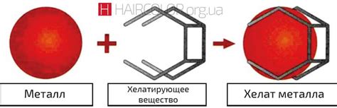 Что такое хелаты металлов?