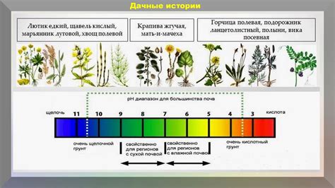 Что такое шкала раскисления и как она определяется