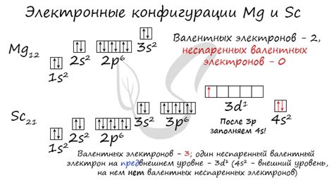 Что такое электронная конфигурация внешнего уровня щелочного металла?