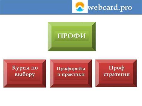 Что такое Webcard pro?