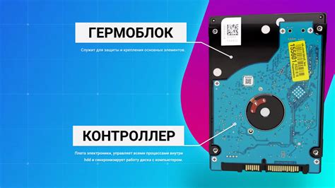 Что такое autopot в Minecraft: подробный обзор и особенности