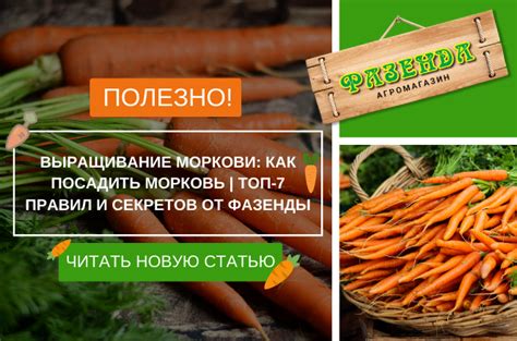 Шаги для скрафта золотой моркови