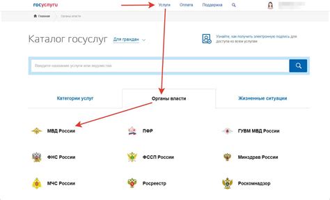 Шаг за шагом: процесс кидания репорта