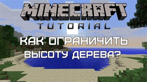 Шаг 2: Найдите высоту дерева в Minecraft