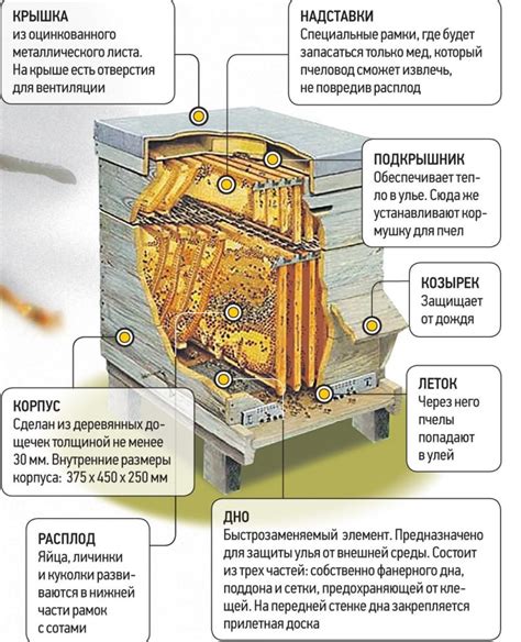 Шаг 2: Постройте улья и разведите пчел