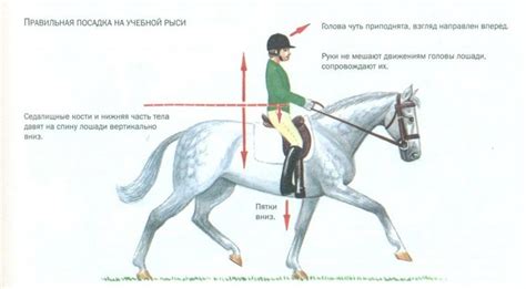 Шаг 5. Правильная посадка на лошадь