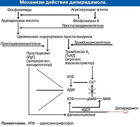 Широкий спектр функциональности