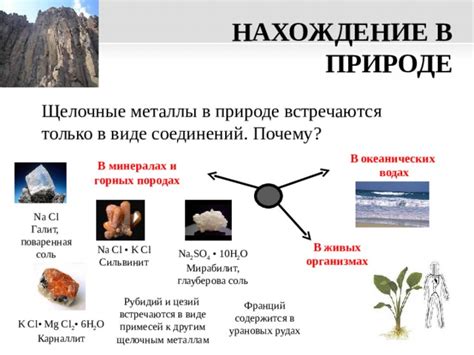 Щелочные металлы в природе и в живых организмах