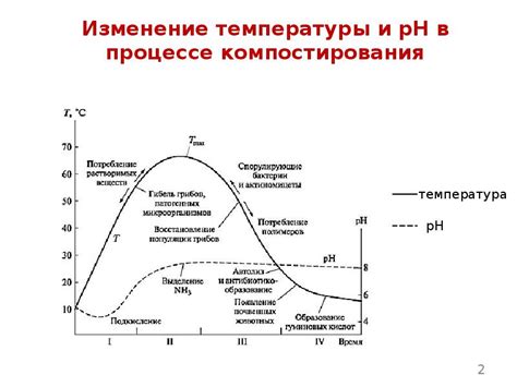 Экзотермический процесс и его значение