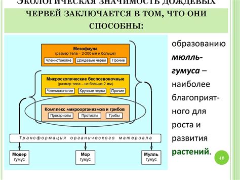 Экологическая значимость процесса