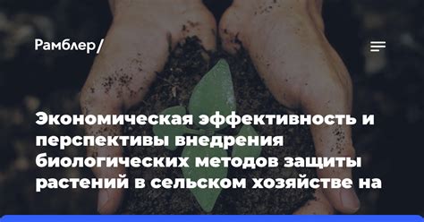 Экономическая эффективность и перспективы