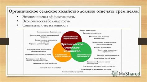 Экономическая эффективность и экологическая безопасность